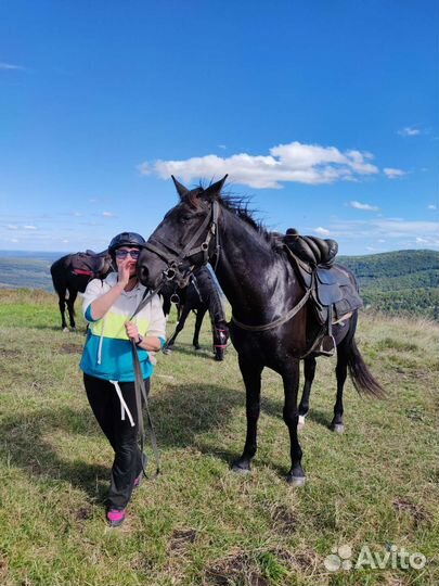 Конные прогулки, верховая езда, прокат лошадей