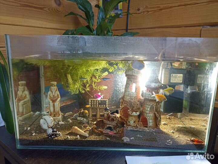 Аквариум
