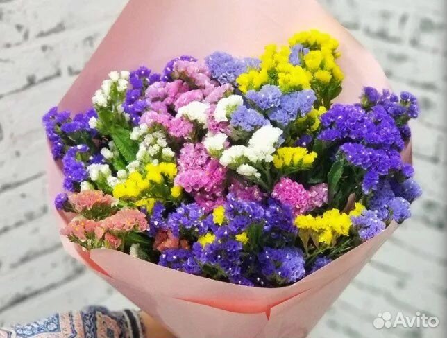 Статица/букеты статица/сухоцвет