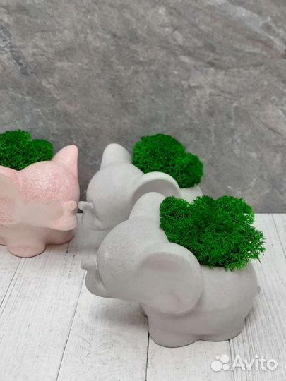 Слоник со стабилизированным мхом