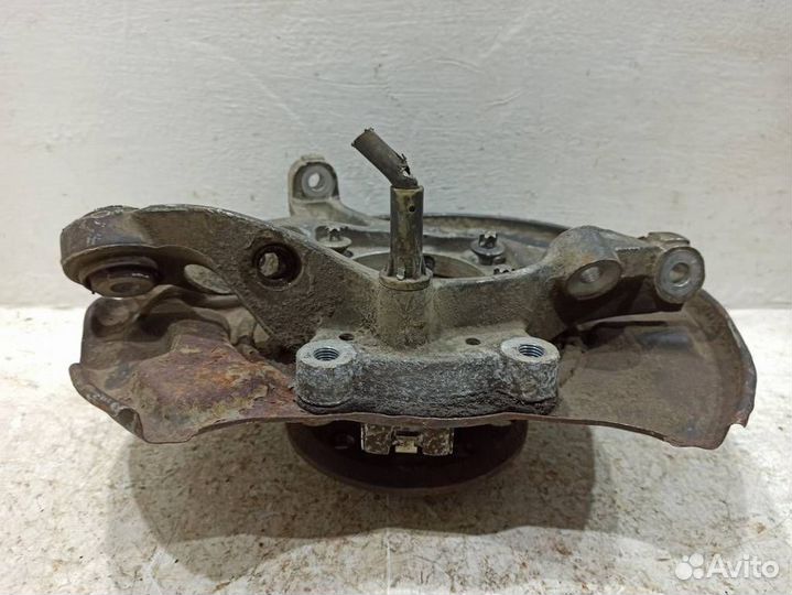 Кулак задний левый