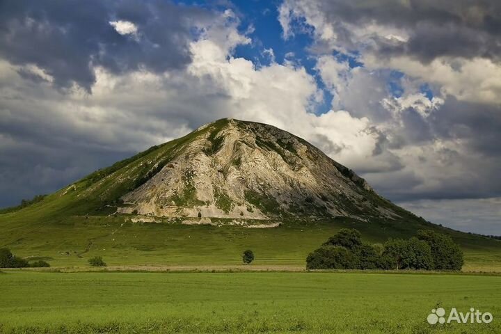 Шихан Торатау и страусиная ферма