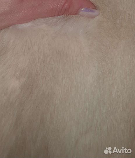 Шуба норковая