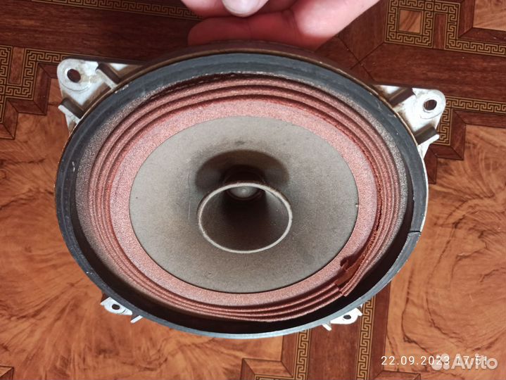 Динамик 10 гдш