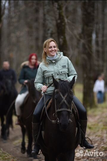 Конные прогулки