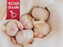 Чеснок сортовой.Озимый чeснок