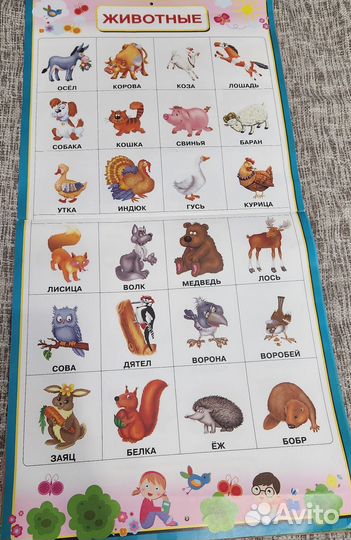 Плакаты обучающие