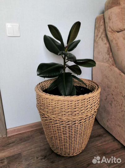 Кашпо горшок для цветов