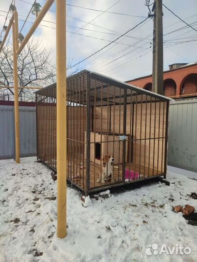 Вольер и будка для собаки