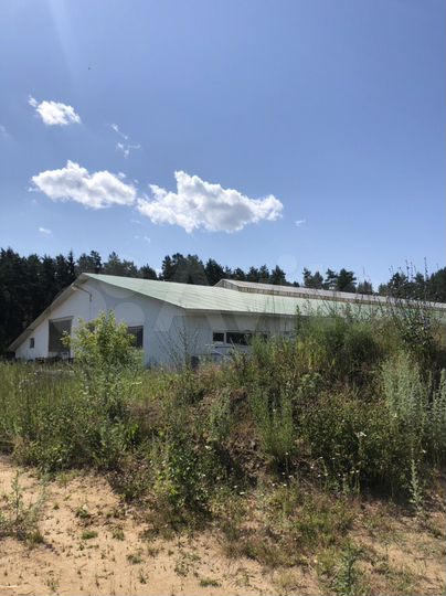 Участок 600 га (СНТ, ДНП)