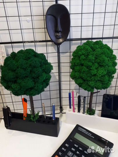 Канцелярский набор из гипса со стабилизированным м