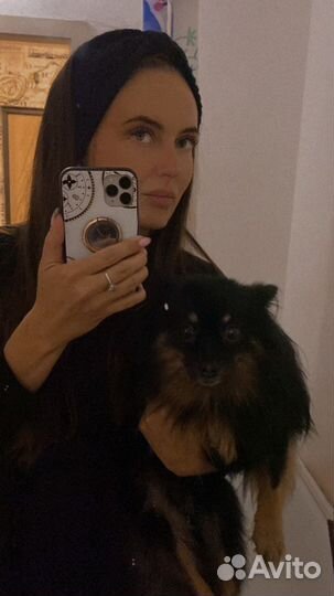 Передержка домашних животных