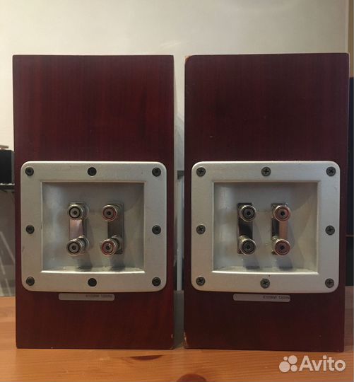 Полочная акустика Audiovector K1 (Дания)