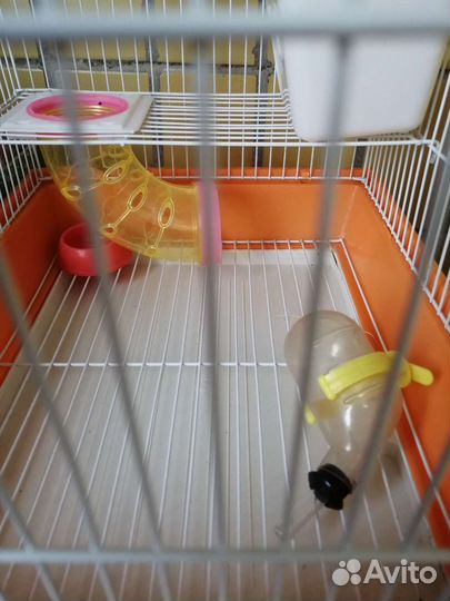 Клетка для хомяка бу