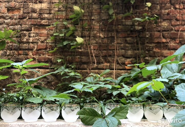 Хрустальная посуда СССР