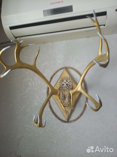 Продам рога оленя