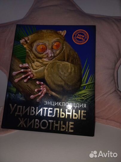 Энциклопедия 