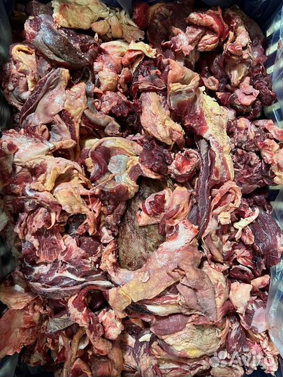 Мясо говядина для собак