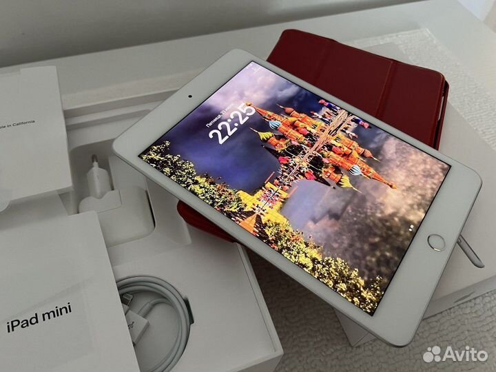 iPad mini 5 Gb 256 Покупка январь 2021 г