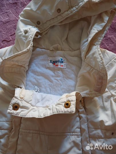 Отдам бесплатно