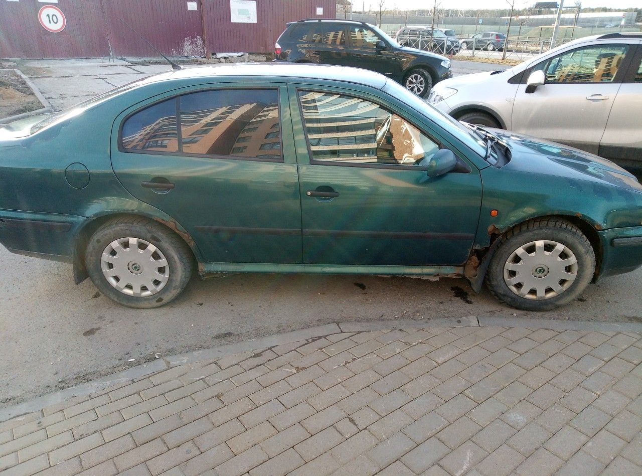 Skoda Octavia: фото владельца