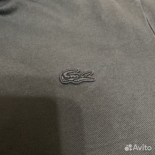 Polo lacoste мужское