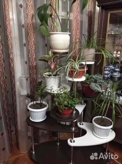 Напольная подставка для комнатных растений