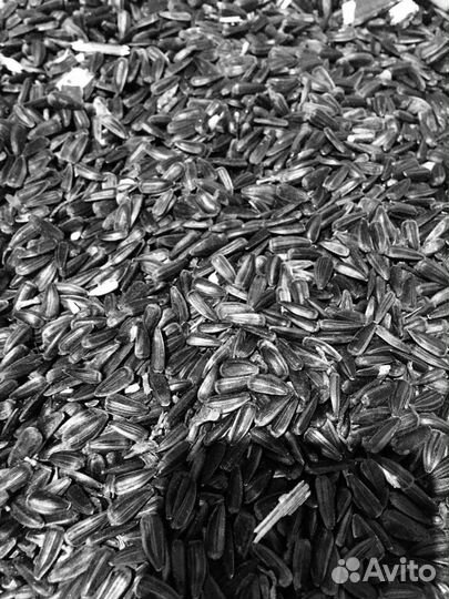 Семечки подсолнечника