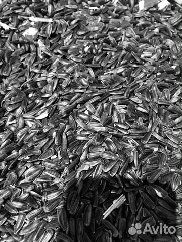 Семечки подсолнечника