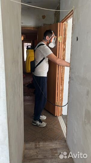 Дезинфекция тараканов клопов мышей клещей