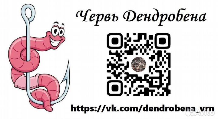 Червь дендробена