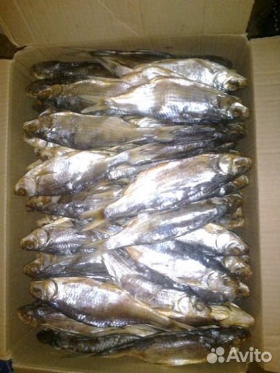 Икра вяленая, Рыба вяленая, Рыба, Вобла вяленая