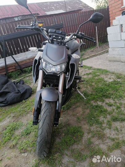 Regulmoto Alien Monster 300