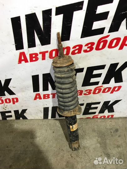 Амортизатор задний Nissan Primera P12