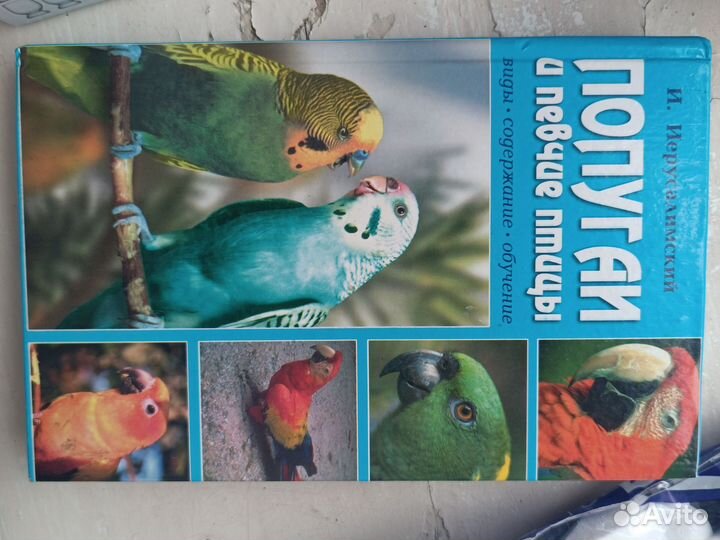 Книга про попугаев