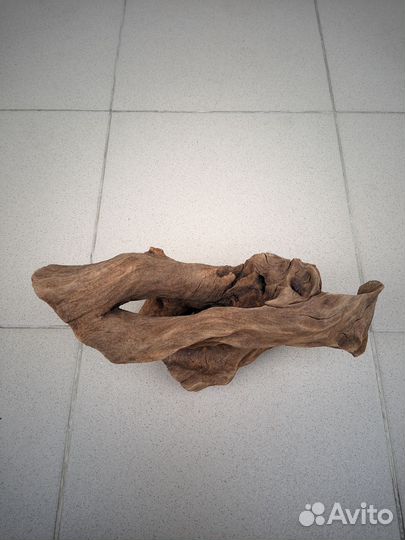 Коряга в аквариум