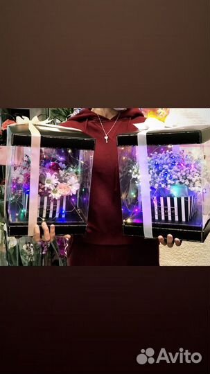 Комнатные растения цветы с доставкой