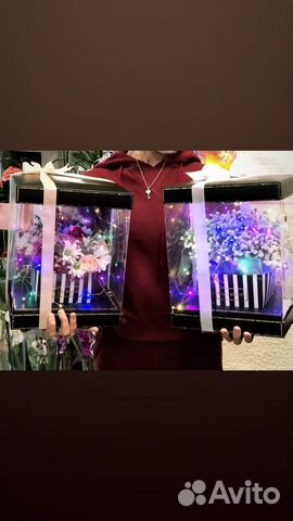 Комнатные растения цветы с доставкой