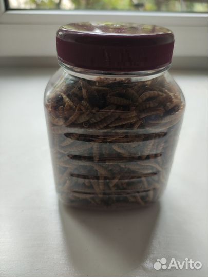 Смесь насекомых для хомяка