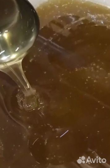 Мед оптом / черноклёновый