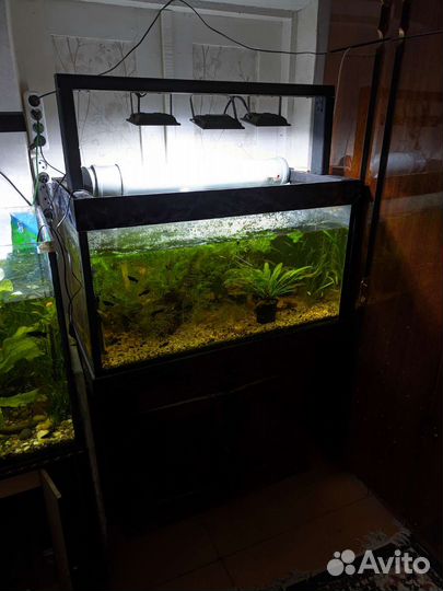 Аквариум 250 литров