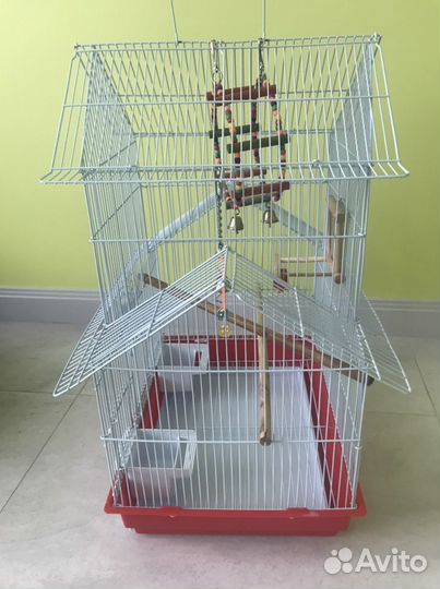 Клетка