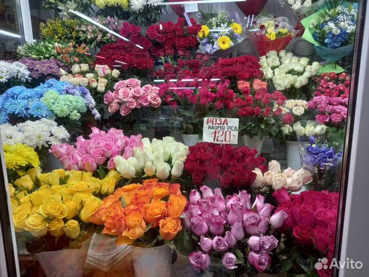 Цветы розы 100