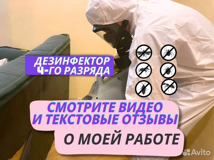 Уничтожение плесени, тараканов, блох. Дезинфекция