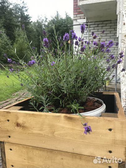 Кашпо ящики уличные деревянные