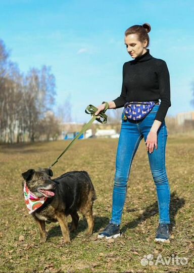 Пожилая Балин боится умереть в клетке приюта