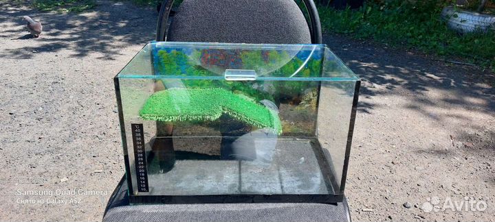 Аквариум