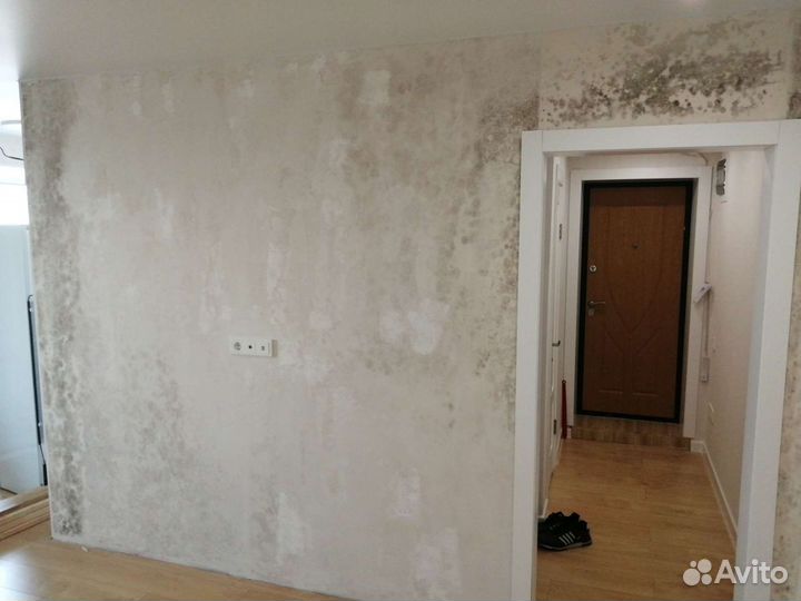 Обработка от грибка. Обработка от плесени