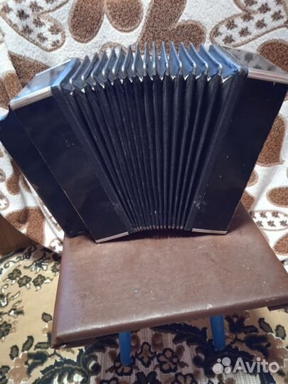 Гармонь любительская
