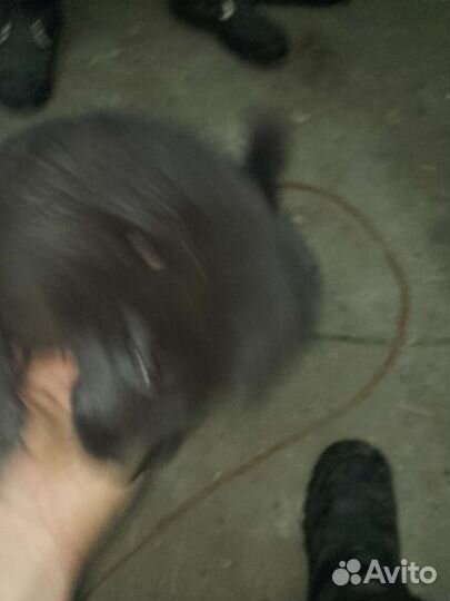 Привязался